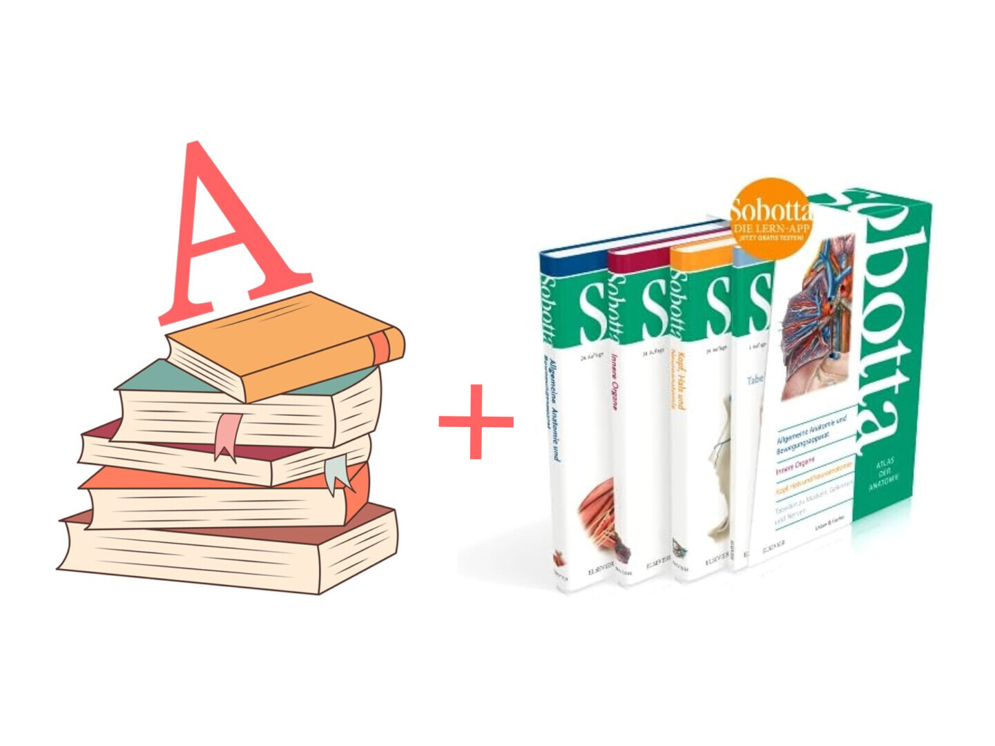 Boekenpakket A + Sobotta cassette 3