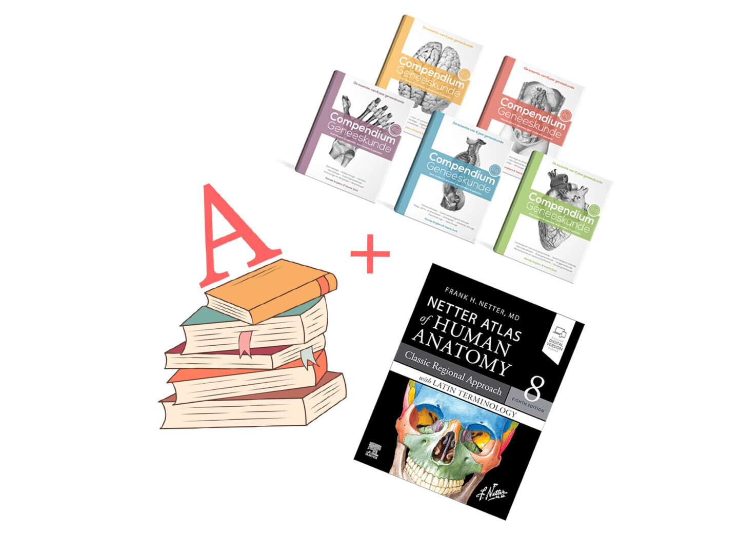 Boekenpakket A + Compendium + Netter Atlas der Anatomie