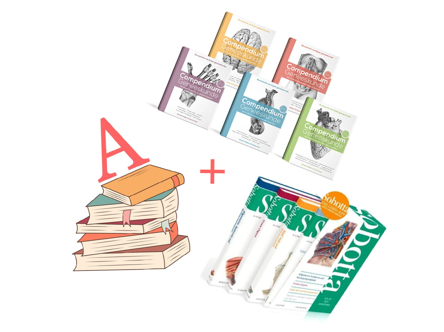 Boekenpakket A + Compendium + Sobotta cassette 3